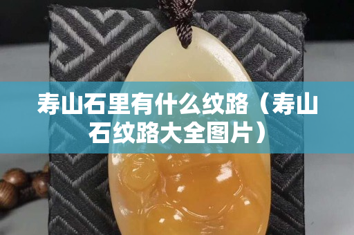 寿山石里有什么纹路（寿山石纹路大全图片）