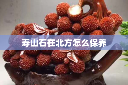 寿山石在北方怎么保养