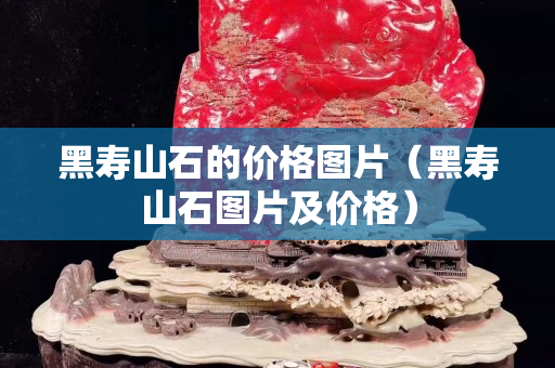 黑寿山石的价格图片（黑寿山石图片及价格）