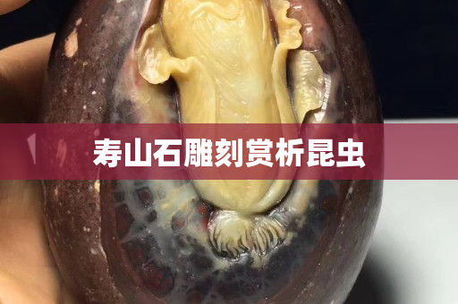 寿山石雕刻赏析昆虫