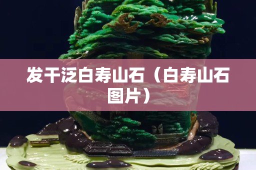 发干泛白寿山石（白寿山石图片）