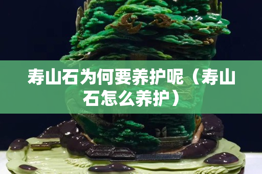 寿山石为何要养护呢（寿山石怎么养护）