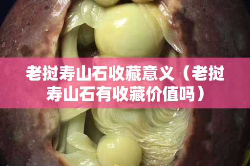 老挝寿山石收藏意义（老挝寿山石有收藏价值吗）