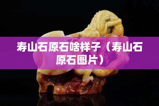 寿山石原石啥样子（寿山石原石图片）
