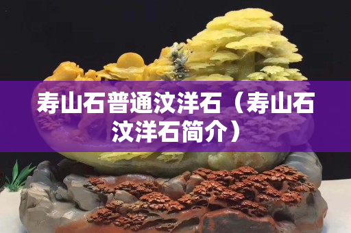 寿山石普通汶洋石（寿山石汶洋石简介）