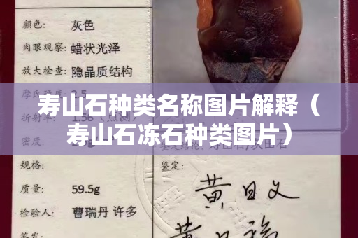 寿山石种类名称图片解释（寿山石冻石种类图片）