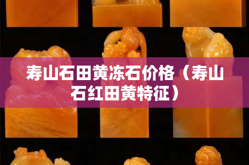 寿山石田黄冻石价格（寿山石红田黄特征）