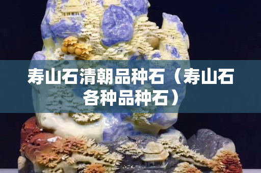 寿山石清朝品种石（寿山石各种品种石）