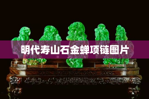 明代寿山石金蝉项链图片