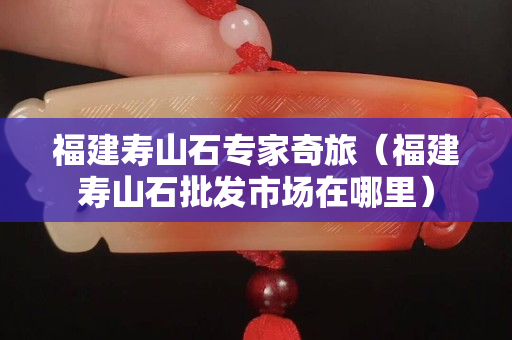 福建寿山石专家奇旅（福建寿山石批发市场在哪里）
