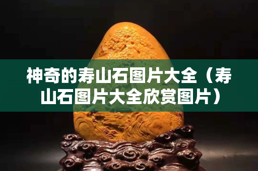 神奇的寿山石图片大全（寿山石图片大全欣赏图片）