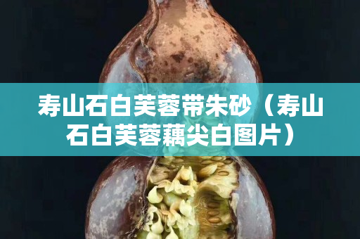 寿山石白芙蓉带朱砂（寿山石白芙蓉藕尖白图片）