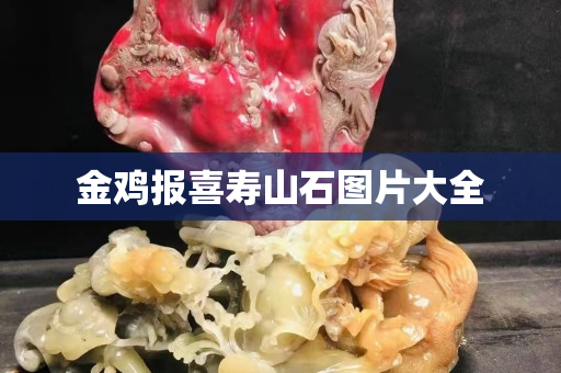 金鸡报喜寿山石图片大全