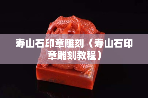 寿山石印章雕刻（寿山石印章雕刻教程）