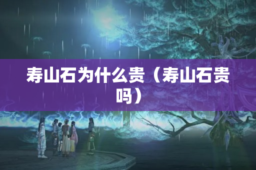 寿山石为什么贵（寿山石贵吗）