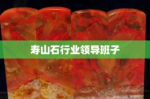 寿山石行业领导班子