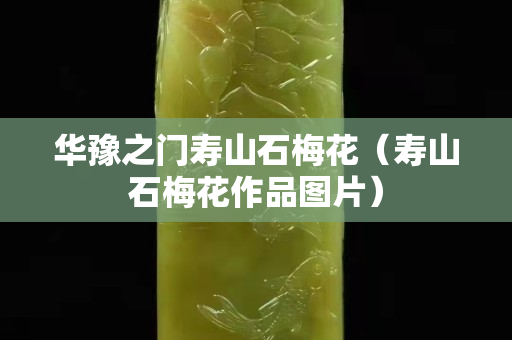 华豫之门寿山石梅花（寿山石梅花作品图片）