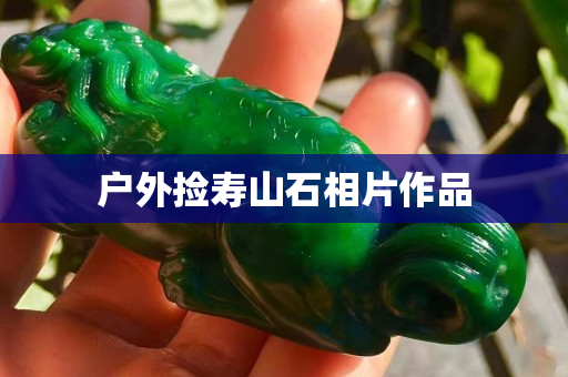户外捡寿山石相片作品