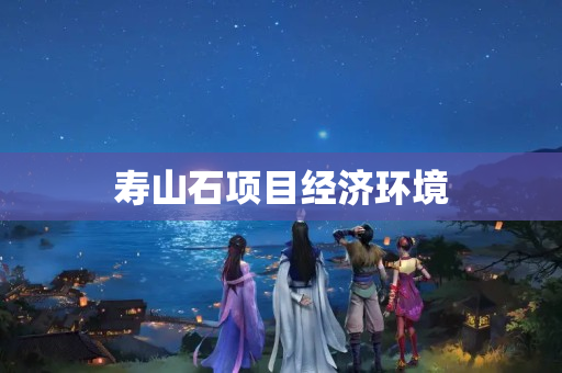 寿山石项目经济环境