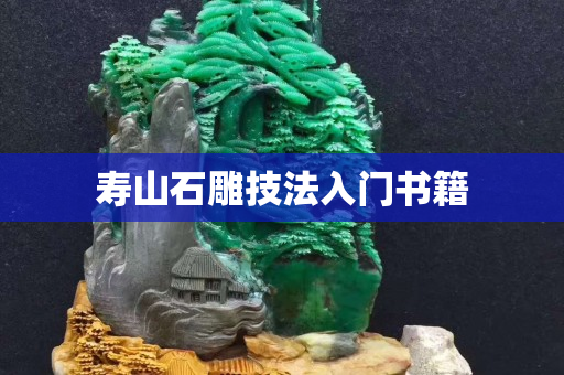 寿山石雕技法入门书籍