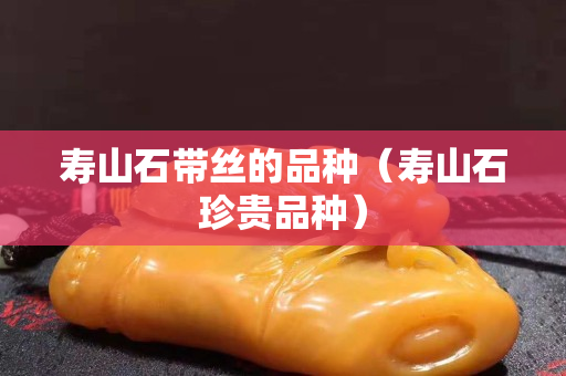 寿山石带丝的品种（寿山石珍贵品种）
