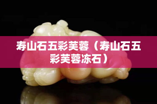 寿山石五彩芙蓉（寿山石五彩芙蓉冻石）