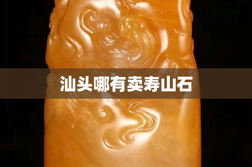 汕头哪有卖寿山石