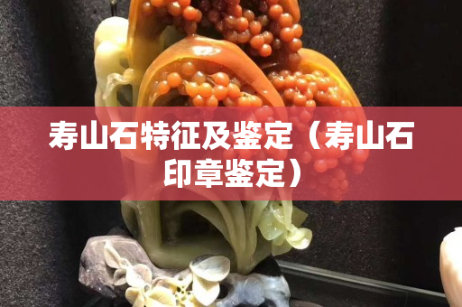 寿山石特征及鉴定（寿山石印章鉴定）