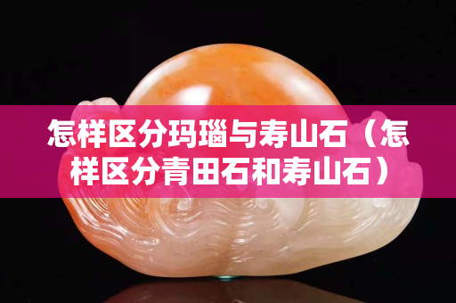 怎样区分玛瑙与寿山石（怎样区分青田石和寿山石）