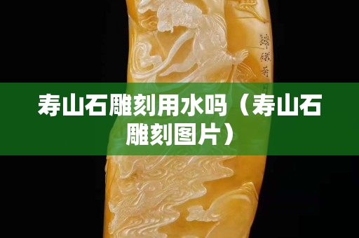 寿山石雕刻用水吗（寿山石雕刻图片）