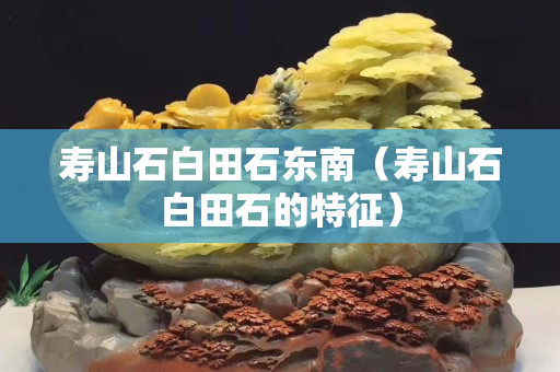 寿山石白田石东南（寿山石白田石的特征）