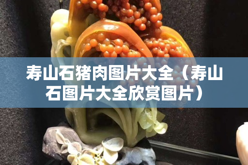 寿山石猪肉图片大全（寿山石图片大全欣赏图片）