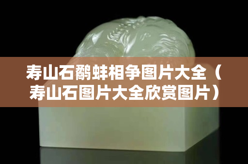 寿山石鹬蚌相争图片大全（寿山石图片大全欣赏图片）