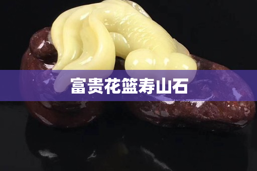富贵花篮寿山石