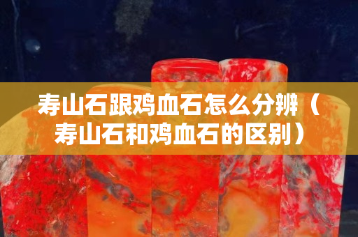 寿山石跟鸡血石怎么分辨（寿山石和鸡血石的区别）