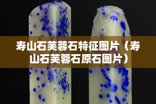 寿山石芙蓉石特征图片（寿山石芙蓉石原石图片）