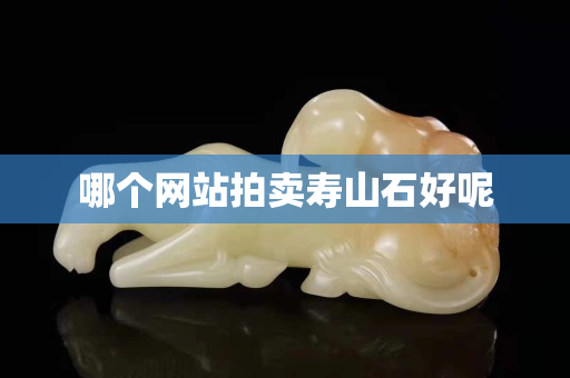 哪个网站拍卖寿山石好呢