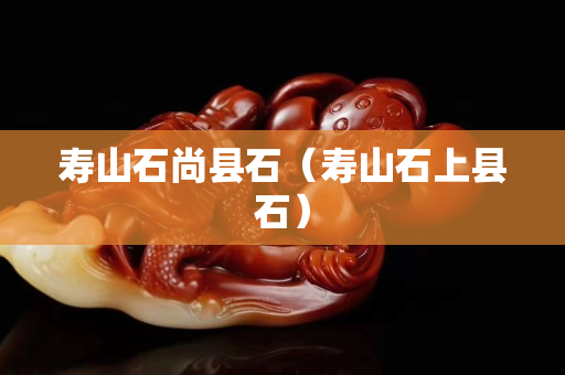 寿山石尚县石（寿山石上县石）