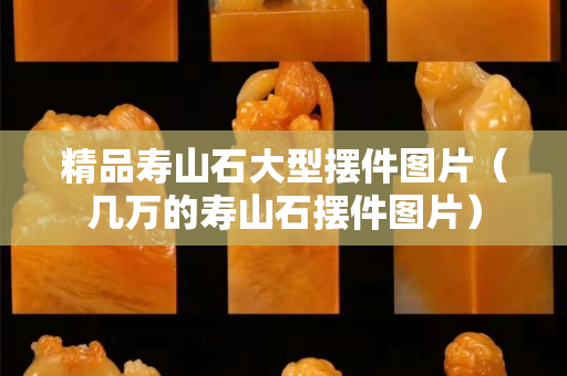 精品寿山石大型摆件图片（几万的寿山石摆件图片）