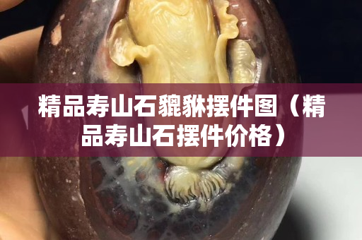 精品寿山石貔貅摆件图（精品寿山石摆件价格）