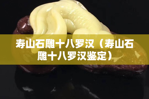 寿山石雕十八罗汉（寿山石雕十八罗汉鉴定）
