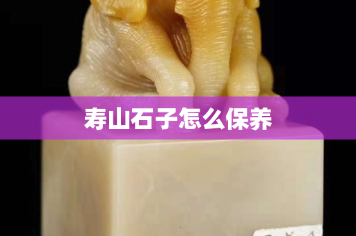 寿山石子怎么保养