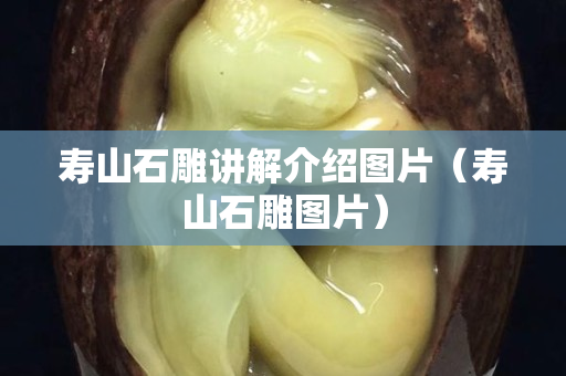 寿山石雕讲解介绍图片（寿山石雕图片）
