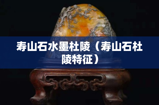 寿山石水墨杜陵（寿山石杜陵特征）