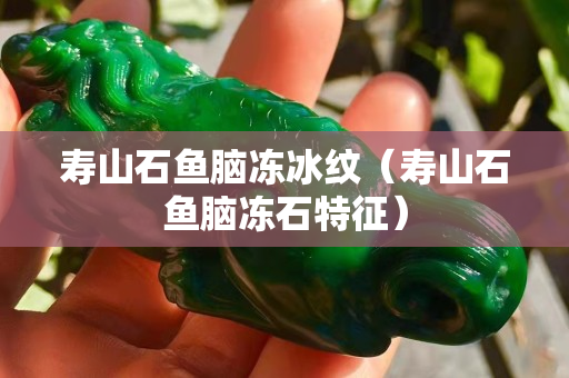 寿山石鱼脑冻冰纹（寿山石鱼脑冻石特征）