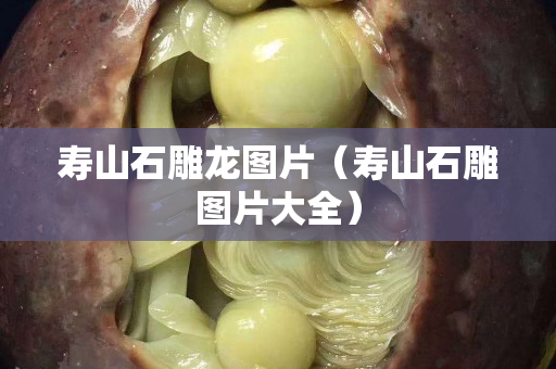 寿山石雕龙图片（寿山石雕图片大全）