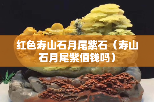 红色寿山石月尾紫石（寿山石月尾紫值钱吗）