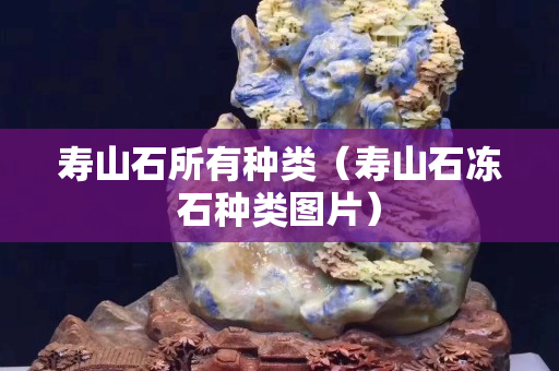 寿山石所有种类（寿山石冻石种类图片）