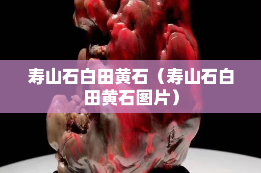 寿山石白田黄石（寿山石白田黄石图片）