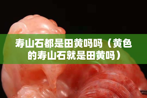 寿山石都是田黄吗吗（黄色的寿山石就是田黄吗）